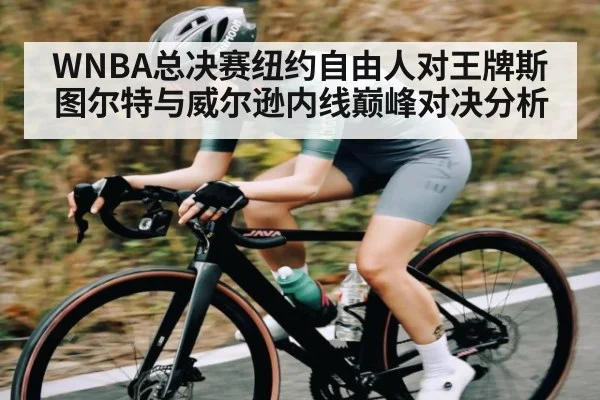WNBA总决赛纽约自由人对王牌斯图尔特与威尔逊内线巅峰对决分析（ayx.com）